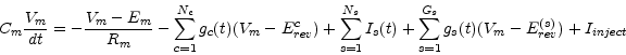 \begin{displaymath}C_m \frac{V_m}{dt} = -\frac{V_m-E_m}{R_m} - \sum_{c=1}^{N_c} ...
...s(t) + \sum_{s=1}^{G_s} g_s(t)(V_m-E_{rev}^{(s)}) + I_{inject} \end{displaymath}